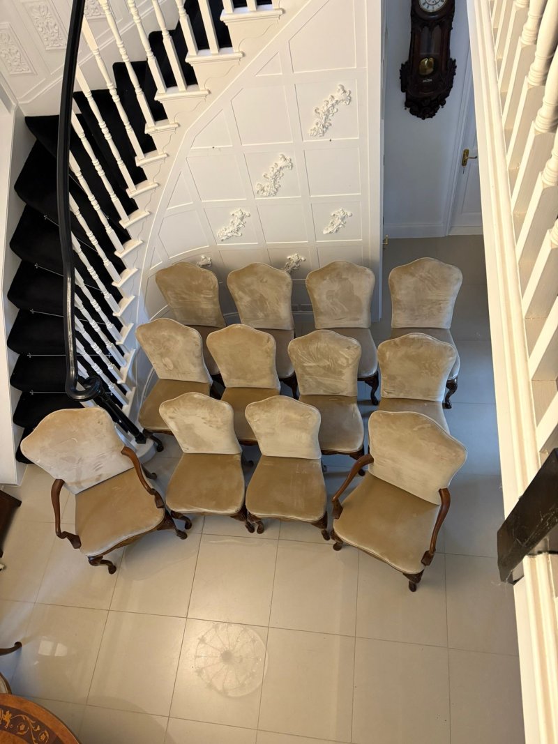 Set of 12 Antique Quality Burr Walnut Inlaid Marquetry Dining Chairs - Image 3